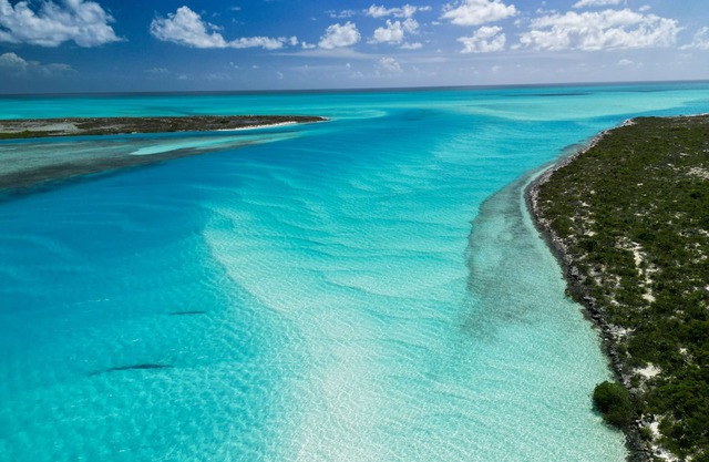Bahamas Beachfront Escape: Luxury Palmirage Cottage, Pets OK!