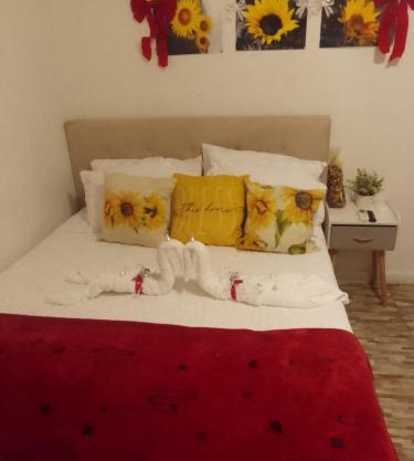 Bahamas petapat suite
