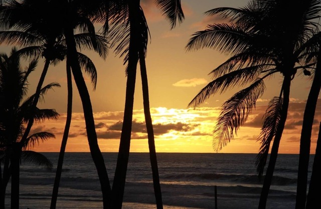 Bahia Beach Front House