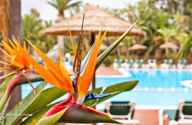 Baia Delle Palme Beach