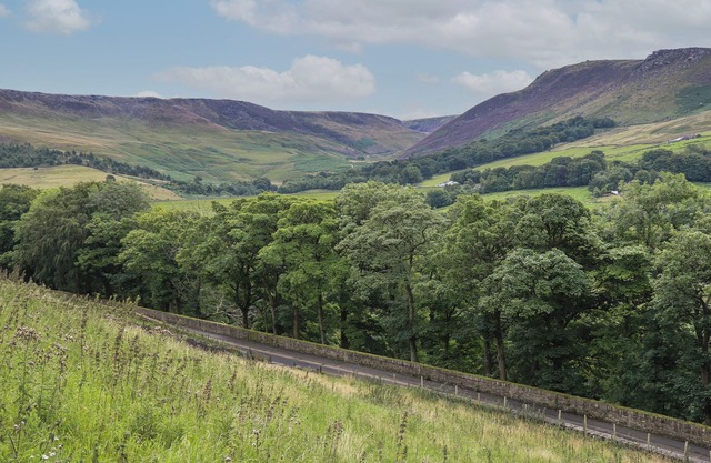 BAILEY COTTAGE, pet friendly, with open fire in Greenfield