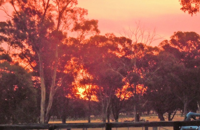 Bailieston Cottage: FarmStay con la hospitalidad de Bush