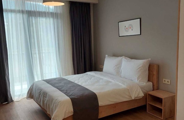 Bakuriani apartment m25 (517)