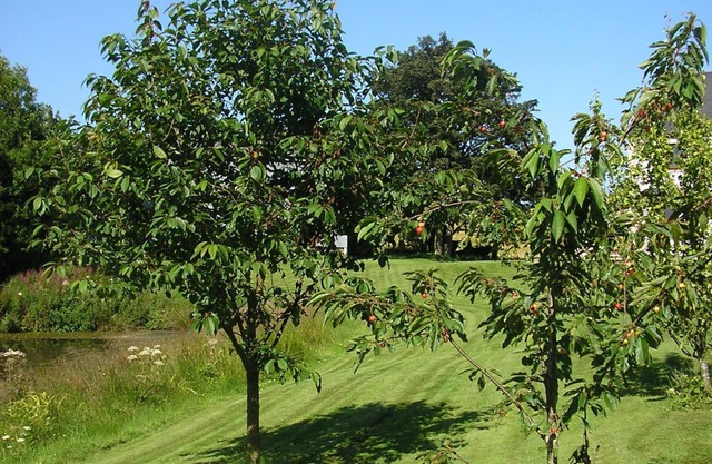 Balhousie Farm
