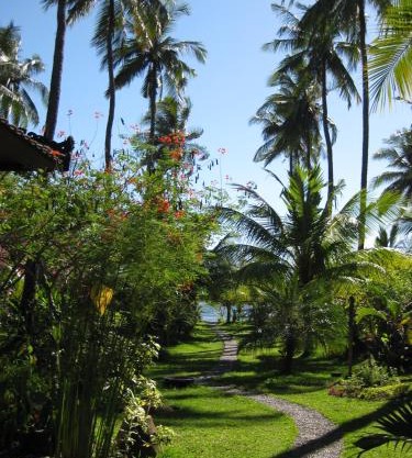 Bali Sandat