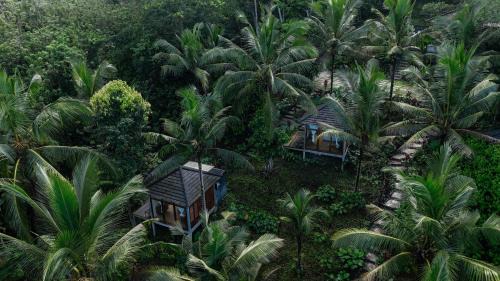 Bali Secret Jungle