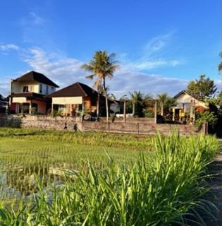 Bali Traditional homestay
