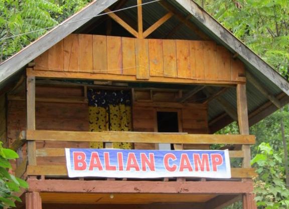 Balian Camp penginapan