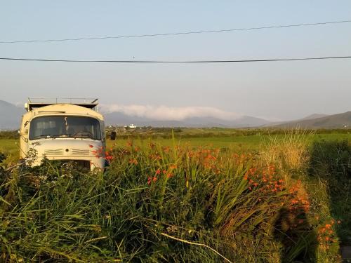 Ballincolla Base Camp
