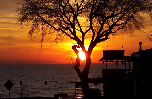 Balm Beach Resort & Motel