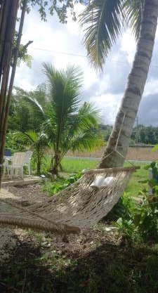 Bamboo Garden Tourist Inn