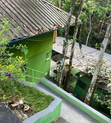 Bamboo leaf Homestay