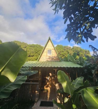 Banana Eco Camp