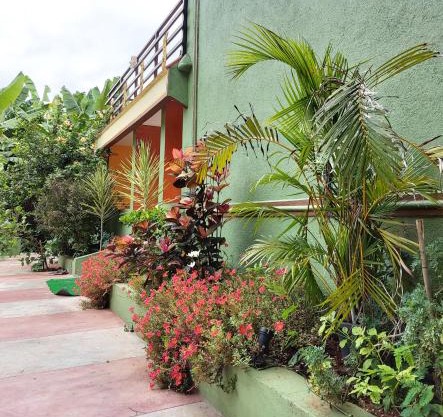 BANANA FARM HOUSE