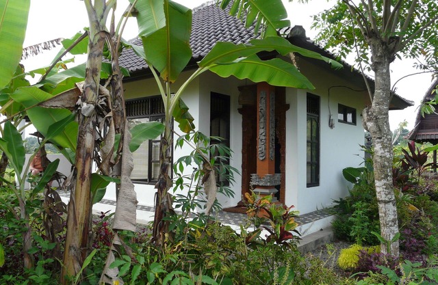Banana Garden Bungalow - descubre la cultura del pueblo en Bali real
