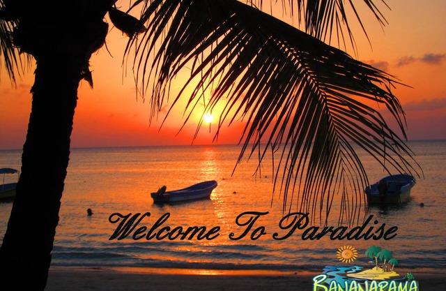 Bananarama Dive & Beach Resort