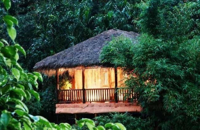 Banasura Hill Resort