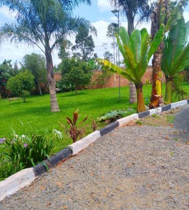 Bantu Gardens
