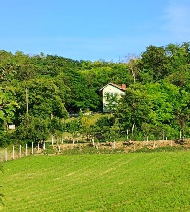 Baranja green peace