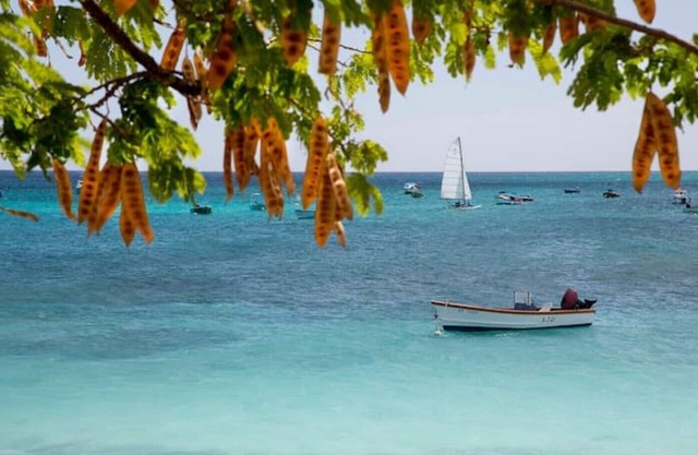 Barbados / West coast 1 bed apartment