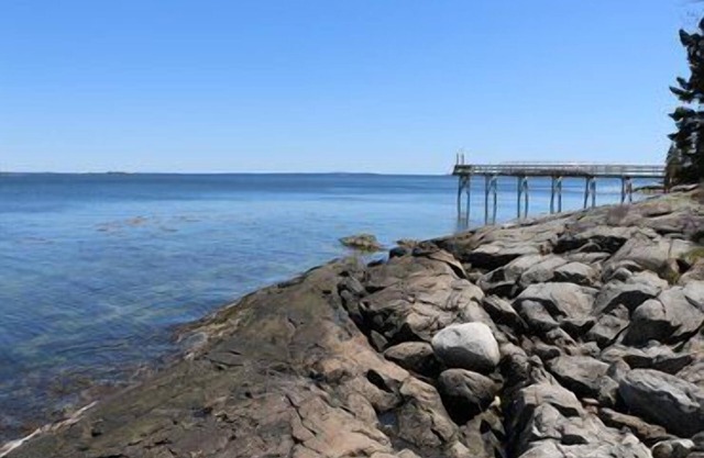 Barnacle en Flye Point
