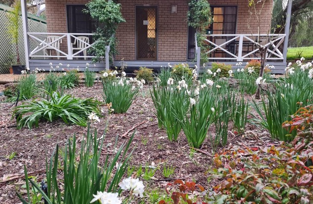 Barossa Country Cottages