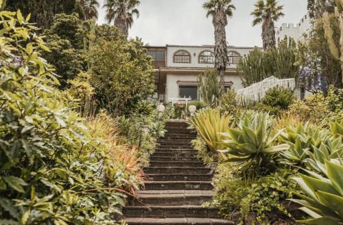 Bastion del Drago