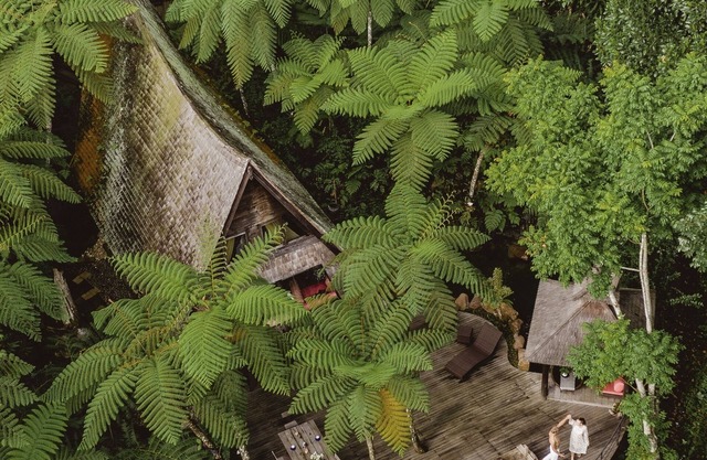 Batak Legacy, A Jungle Hideaway