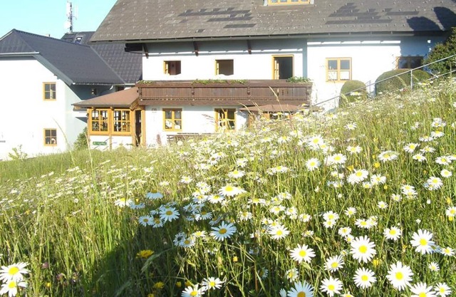 Bauernhof Minabauer - Apartamento de vacaciones Apartamento Granja