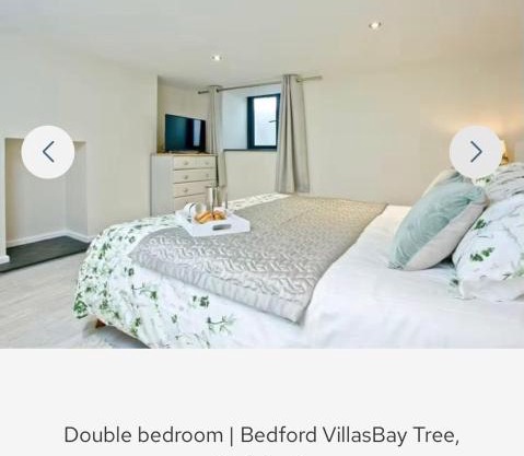 Bay Tree