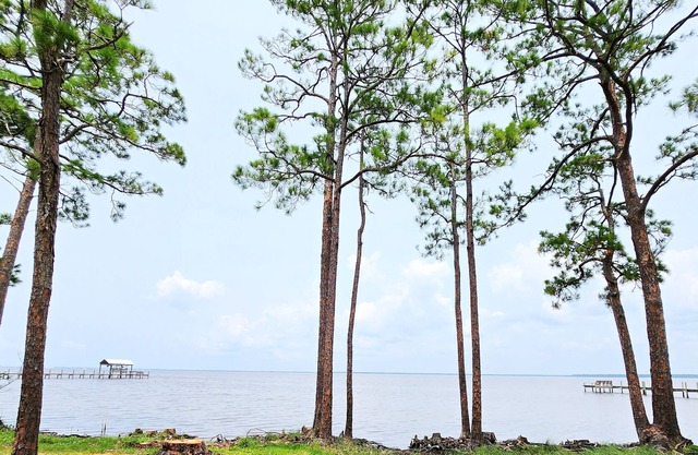 Bayfront Home just minutes from St. George Island! Sleeps 8! Private Estate!