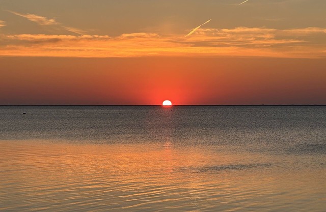 Bay Front Oasis, Magnificent Views, Kayaking/Fishing/Clamming, Wild Lives