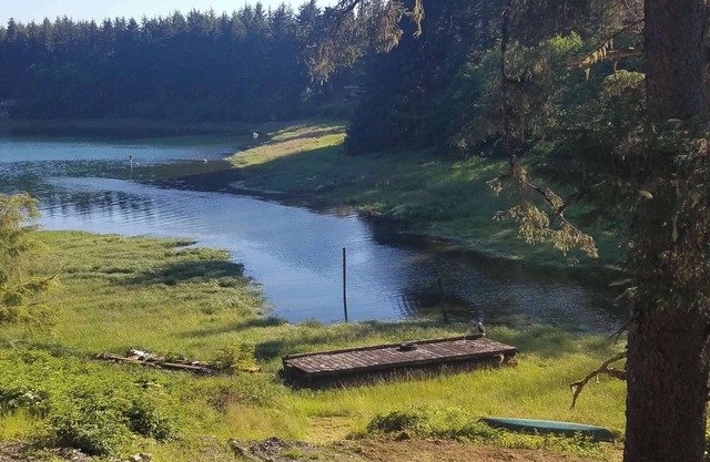 Bayside Hideaway, tucked in the forest! Clean, Cozy, Comfortable!