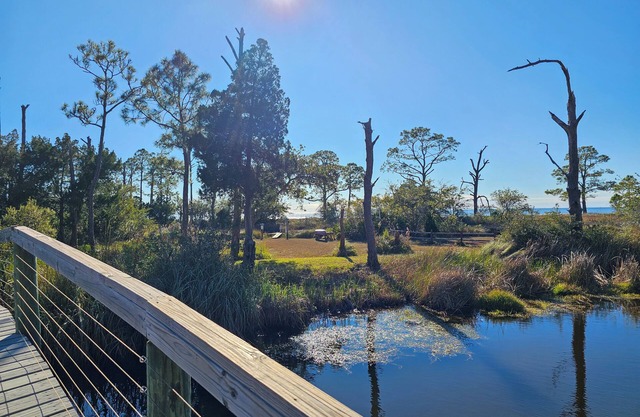 20% OFF August! Bayside Retreat w/ bay access! Dogs OK, Lots of Wildlife!!