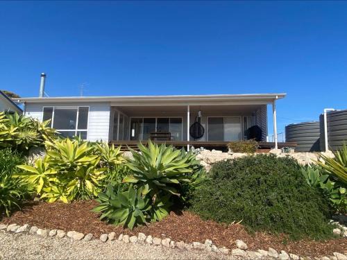Bayview Bliss