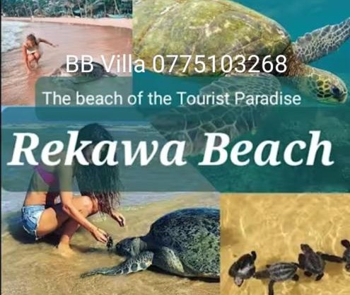 BB villa - Rekawa