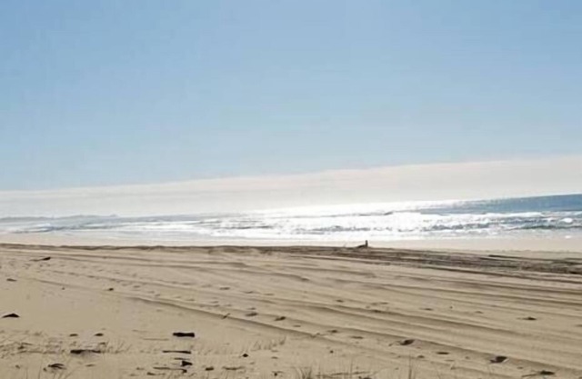 Beach Bunker: Retro Charm steps to Scotts Beach