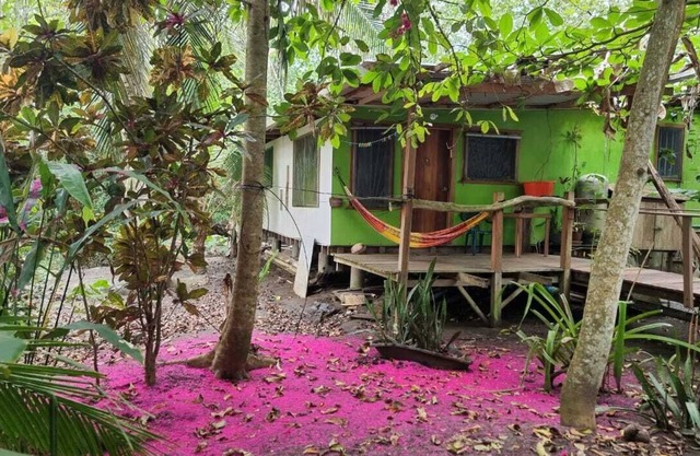 BeachFront Apartment, 45 meter from sea, sorounded by wild nature, eco friendly