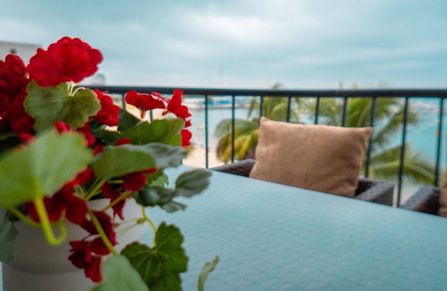 Beach front apartment, Two bedroom two bath! Pet friendly 😀