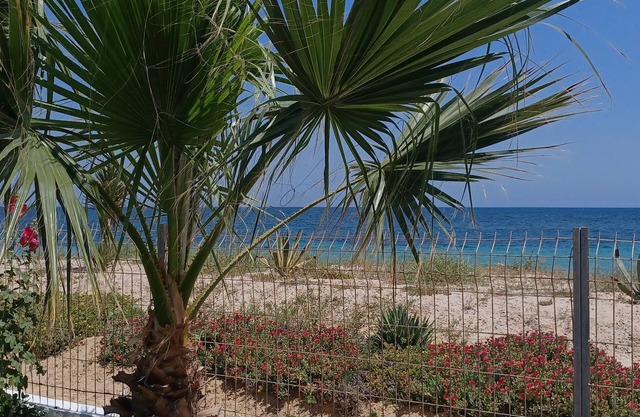 Apartamento de lujo frente a la playa