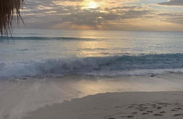 Beach Front Resort + Tours a precio preferencial