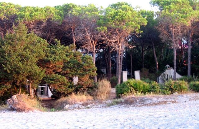 Casa junto al mar en un bosque de pinos con acceso directo a la playa en Cerdeña