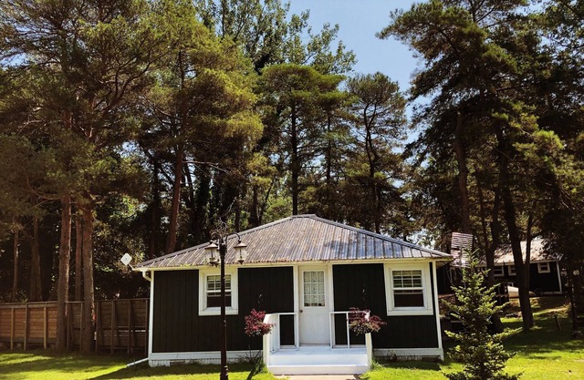 Beach Property with Three cottages & RecHall all just 30 steps off the beach