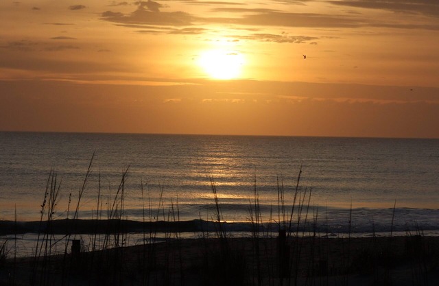 Retiro en la playa - OceanFront Cottage