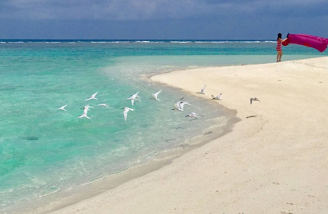 Beach Veli
