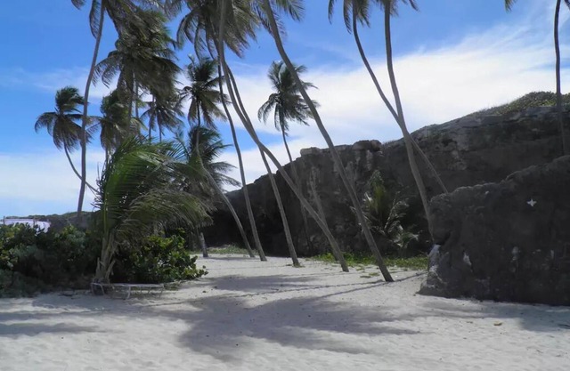 Beachcliff Bottom Bay Barbados