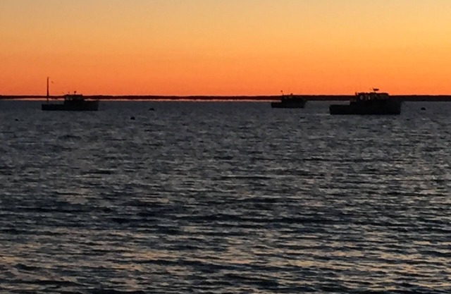 Beaches, Trails, Lighthouses, Lobster, Tranquil, Immaculate, Quiet.
