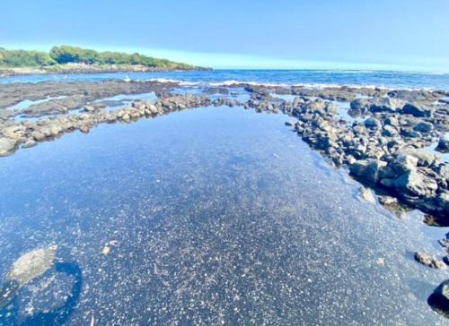 Beachfront 1 Bedroom Condo with Private Beach, Pool, Hot Tub