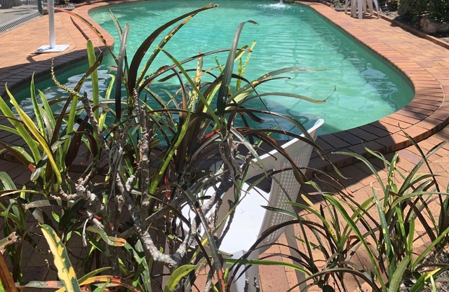 Beachfront at Silver Sands - opposite Shelly Beach in Hervey Bay - Heated Pool