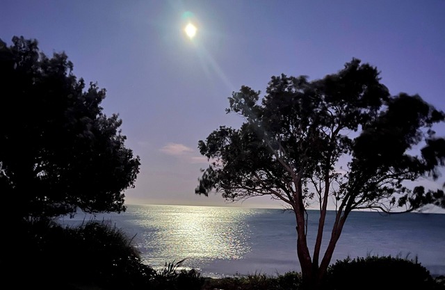 Beachfront Bliss - an absolute beachfront stunner!
